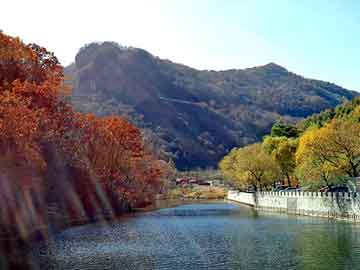 澳门天天免费精准大全，景泰蓝主要原料